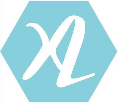 XL精準 科學儀器的演進與信息科學的融合